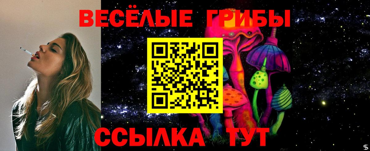 Галлюциногенные грибы GOLDEN TEACHER Фролово